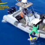 Vibo, di nuovo in mare Antonella e Franca. Gdf rilascia tartarughe carretta-carretta in acqua dopo riabilitazione