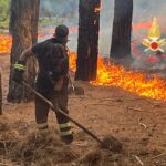 Olivadi (Cz), prevenzione incendi con cani e volontari Ucsn Calabria