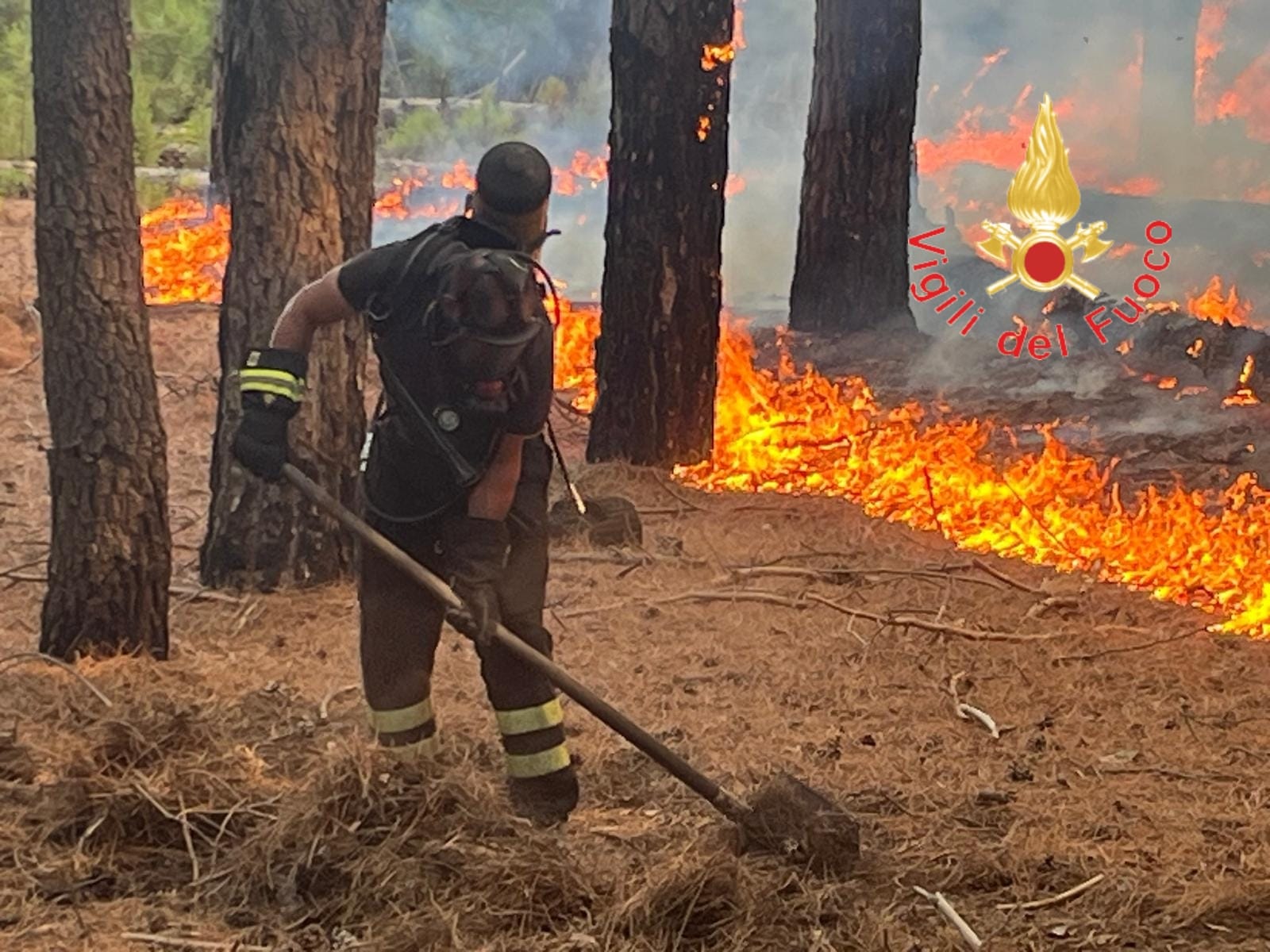 Incendio bosco