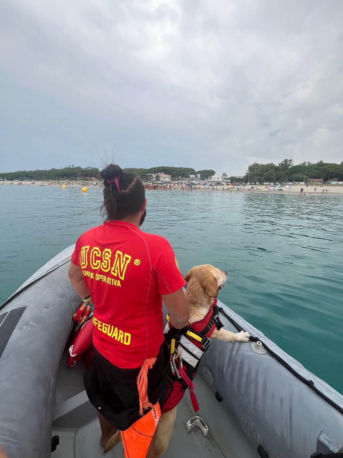 Cane di salvataggio in mare