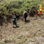 Corigliano-Rossano (Cs), Vvf salvano cane in località Schiavonea