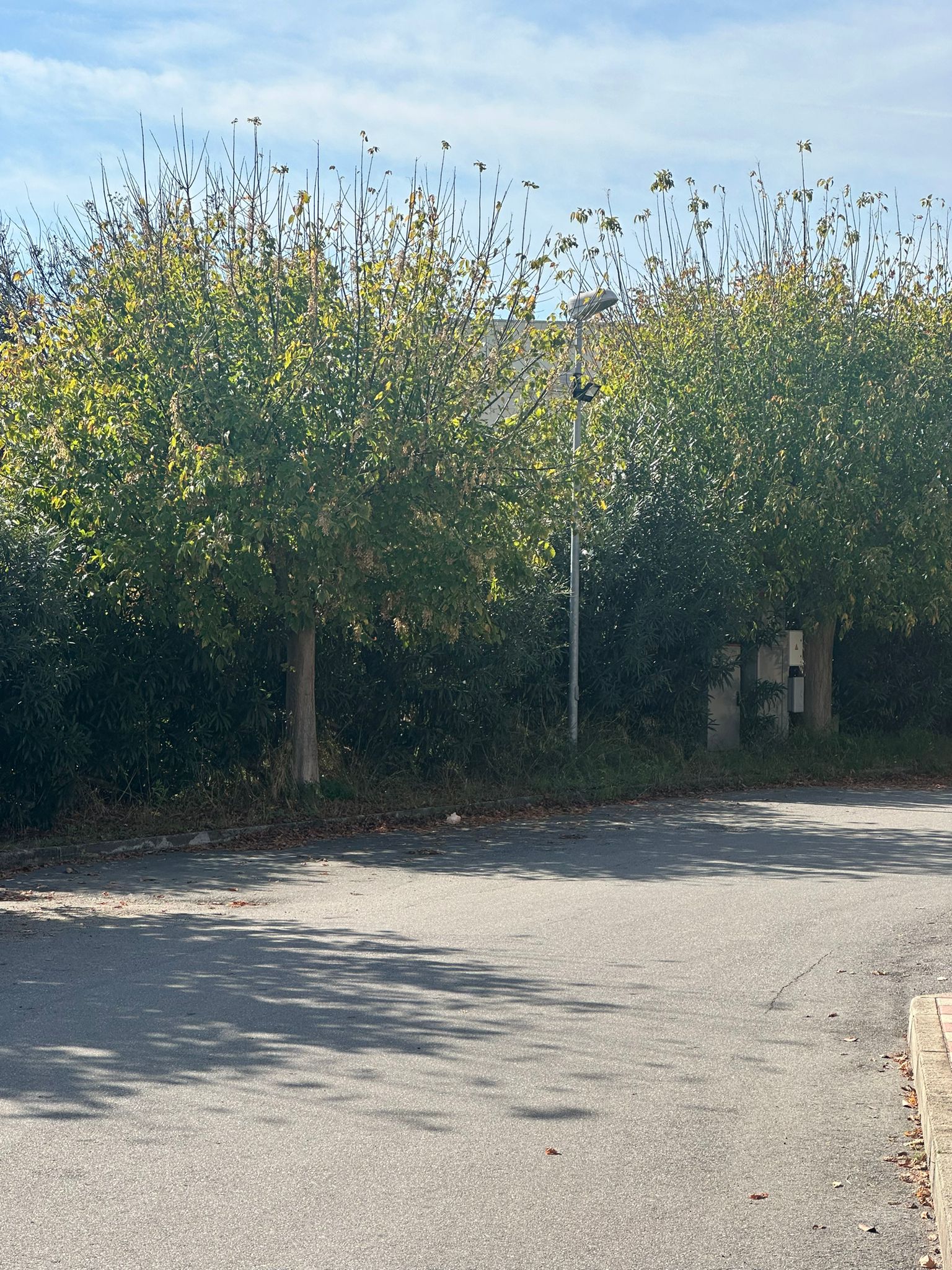 Strada senza illuminazione