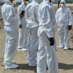 Regione, Hantavirus: In Calabria situazione sotto controllo. Passeggero asintomatico, è in isolamento precauzionale