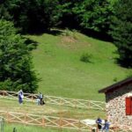 Regione, da Cittadella: parco naturale Serre, insediato neocommissario, e Consiglio: interrogazione su ritardi per case e ospedali comunità