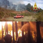 Regione, incendi boschivi aree costiere: Calabria in Grecia al “2nd Exchange and Training Meeting” e novità portate a Smau Stoccolma ’26: selezionate 5 startup e Pmi innovative