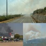 Acconia di Curinga (Cz), ettari pineta distrutti da fiamme