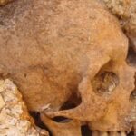 Risolto finalmente il caso del serial killer (anche per soldi) che dalla sua Enna alla Germania uccideva, smembrava i corpi e ne seppelliva parti dove capitava. Inclusa la testa del genero nel giardino di casa