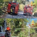 Cirò (Kr), cane da caccia in dirupo: salvato da Vvf