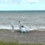 Scilla (Rc), trovato cadavere nel porto:<br>professionista mezza età. Inquirenti non escludono alcuna ipotesi e prime sviluppi indagini