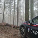 Francavilla A. (Vv), più che in una casa viveva in un deposito di droga e armi: 37enne arrestato da militari