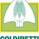 Calabria, Coldiretti su pesca: Bene ok a credito d’imposta. Da 7 mln € ossigeno per marinerie